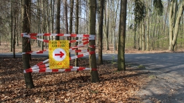 Martin Gnadt — Kommunikationsdesign