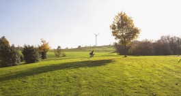 Martin Gnadt — Kommunikationsdesign