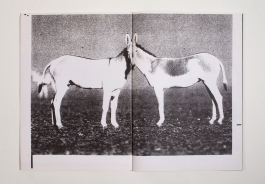 Martin Gnadt — Kommunikationsdesign