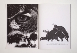 Martin Gnadt — Kommunikationsdesign