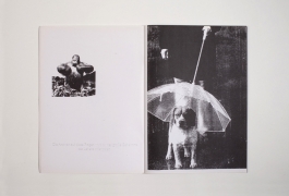 Martin Gnadt — Kommunikationsdesign