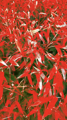 Martin Gnadt — Kommunikationsdesign