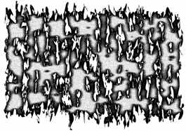 Martin Gnadt — Kommunikationsdesign