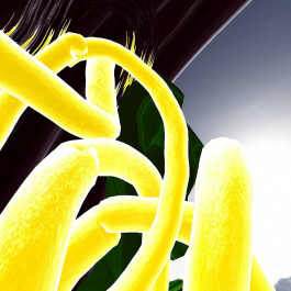 Martin Gnadt — Kommunikationsdesign