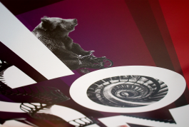 Martin Gnadt — Kommunikationsdesign