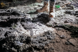 Martin Gnadt — Kommunikationsdesign