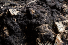 Martin Gnadt — Kommunikationsdesign