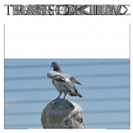 Martin Gnadt — Kommunikationsdesign